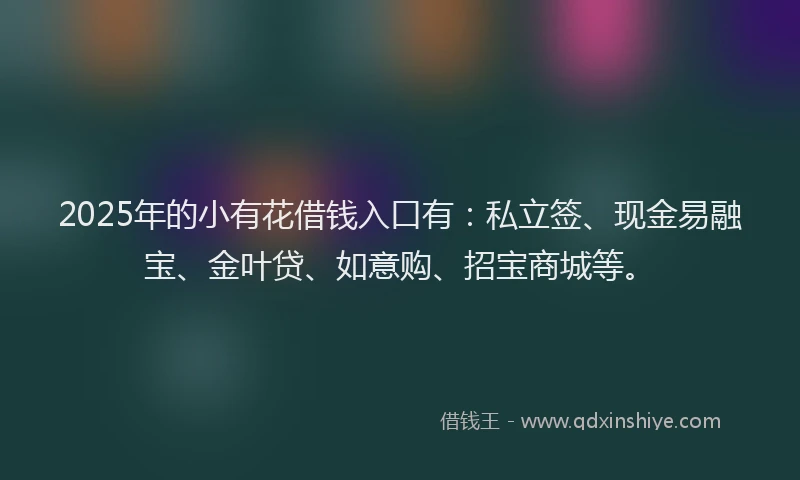 2025年的小有花借钱入口有：私立签、现金易融宝、金叶贷、如意购、招宝商城等。