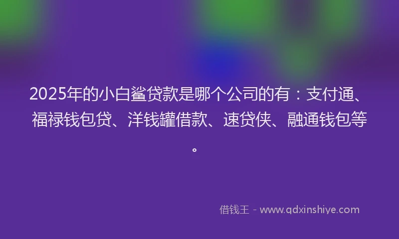 2025年的小白鲨贷款是哪个公司的有：支付通、福禄钱包贷、洋钱罐借款、速贷侠、融通钱包等。
