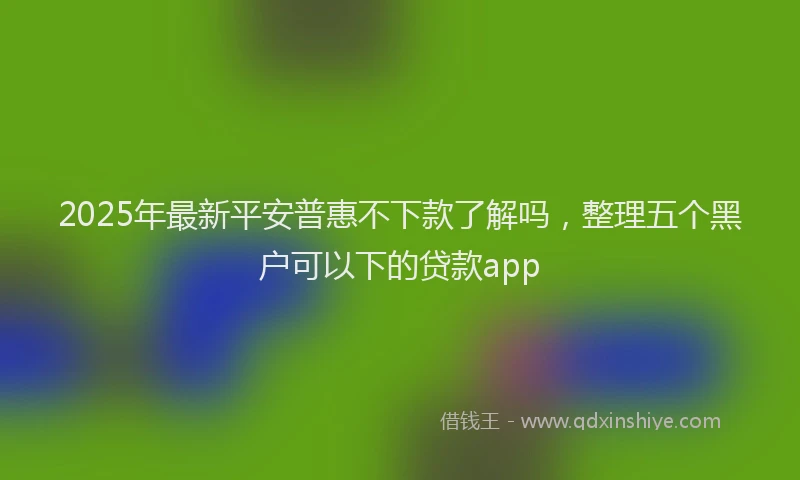 2025年最新平安普惠不下款了解吗，整理五个黑户可以下的贷款app