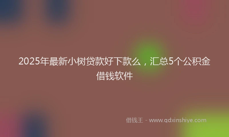 2025年最新小树贷款好下款么，汇总5个公积金借钱软件