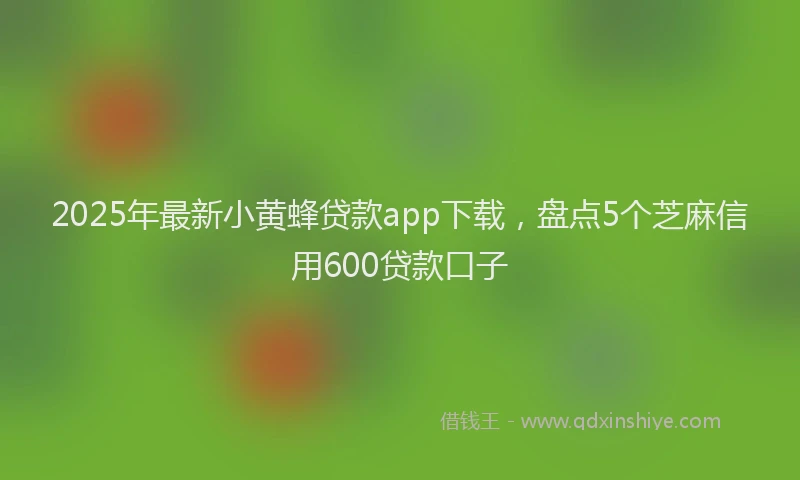 2025年最新小黄蜂贷款app下载，盘点5个芝麻信用600贷款口子