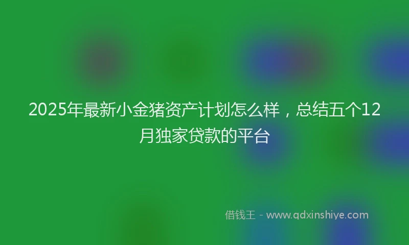 2025年最新小金猪资产计划怎么样，总结五个12月独家贷款的平台