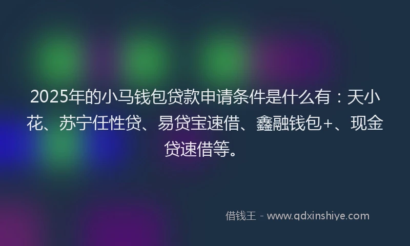 2025年的小马钱包贷款申请条件是什么有：天小花、苏宁任性贷、易贷宝速借、鑫融钱包+、现金贷速借等。