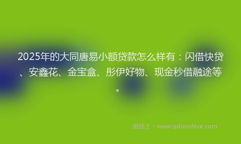2025年的大同唐易小额贷款怎么样有：闪借快贷、安鑫花、金宝盒、彤伊好物、现金秒借融途等。