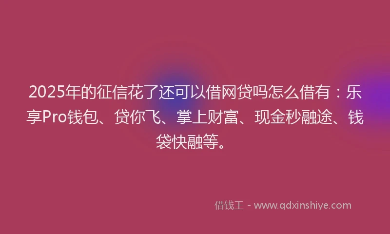 2025年的征信花了还可以借网贷吗怎么借有：乐享Pro钱包、贷你飞、掌上财富、现金秒融途、钱袋快融等。