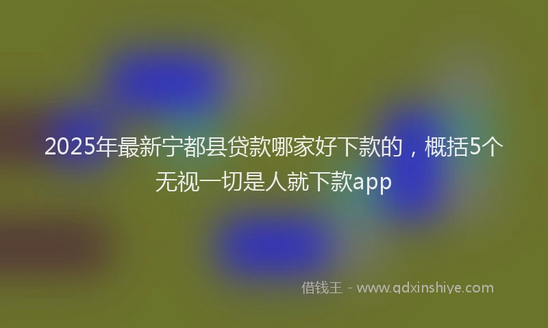 2025年最新宁都县贷款哪家好下款的，概括5个无视一切是人就下款app