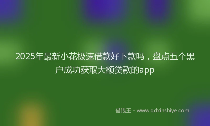 2025年最新小花极速借款好下款吗，盘点五个黑户成功获取大额贷款的app