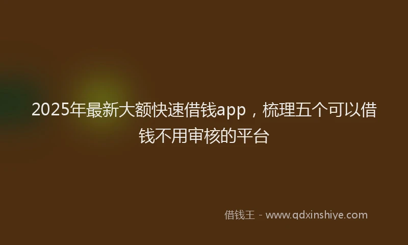 2025年最新大额快速借钱app，梳理五个可以借钱不用审核的平台