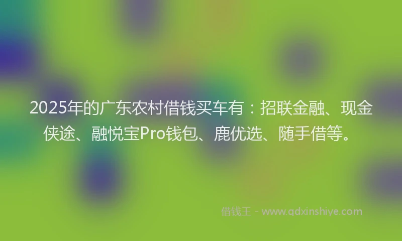 2025年的广东农村借钱买车有：招联金融、现金侠途、融悦宝Pro钱包、鹿优选、随手借等。