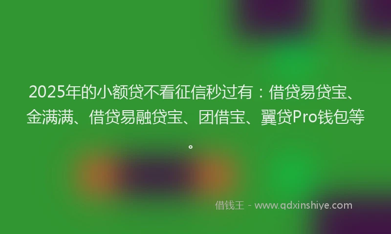 2025年的小额贷不看征信秒过有：借贷易贷宝、金满满、借贷易融贷宝、团借宝、翼贷Pro钱包等。