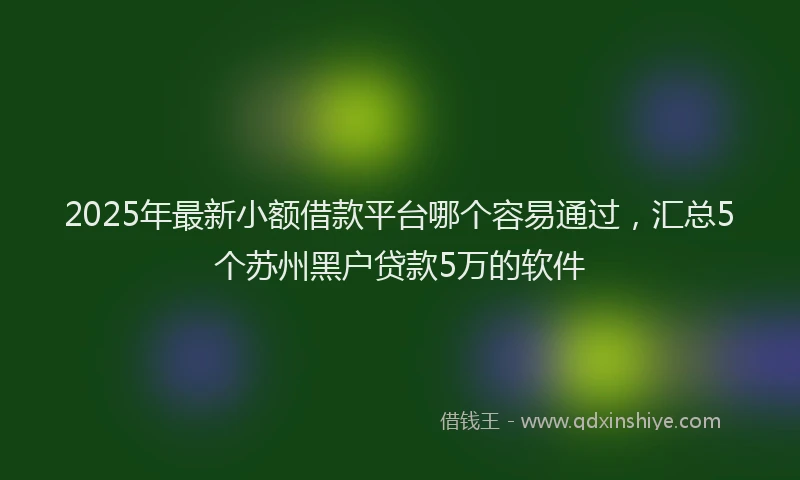 2025年最新小额借款平台哪个容易通过，汇总5个苏州黑户贷款5万的软件