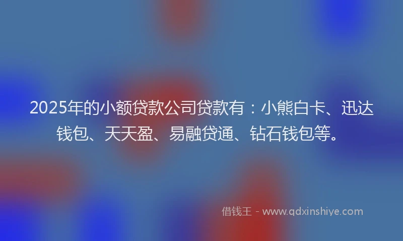 2025年的小额贷款公司贷款有：小熊白卡、迅达钱包、天天盈、易融贷通、钻石钱包等。