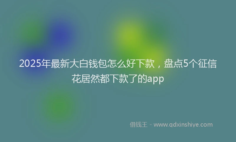 2025年最新大白钱包怎么好下款，盘点5个征信花居然都下款了的app