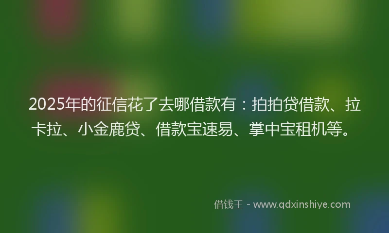 2025年的征信花了去哪借款有：拍拍贷借款、拉卡拉、小金鹿贷、借款宝速易、掌中宝租机等。