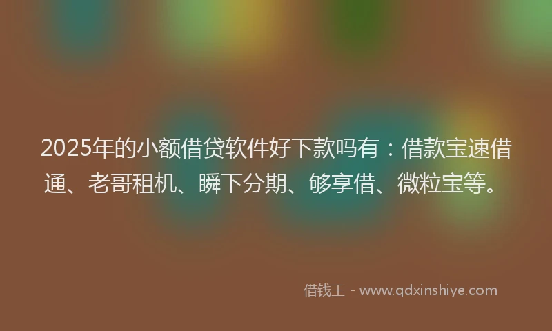 2025年的小额借贷软件好下款吗有：借款宝速借通、老哥租机、瞬下分期、够享借、微粒宝等。
