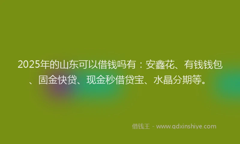 2025年的山东可以借钱吗有：安鑫花、有钱钱包、固金快贷、现金秒借贷宝、水晶分期等。