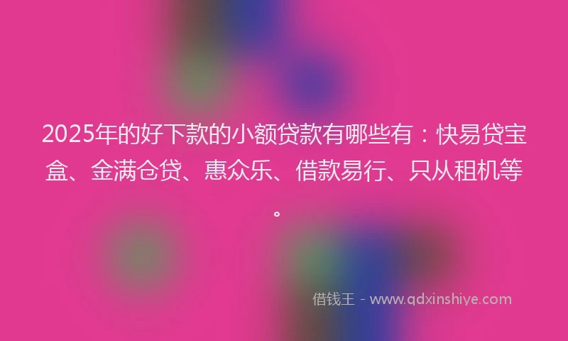 2025年的好下款的小额贷款有哪些有：快易贷宝盒、金满仓贷、惠众乐、借款易行、只从租机等。