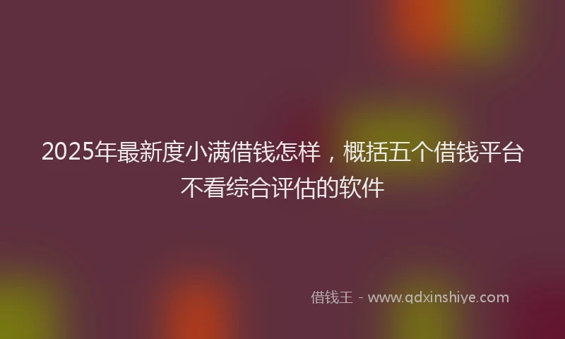 2025年最新度小满借钱怎样，概括五个借钱平台不看综合评估的软件