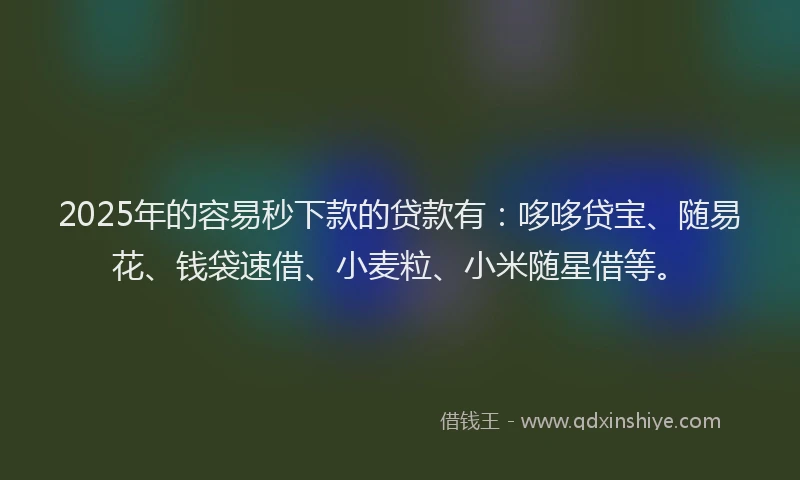 2025年的容易秒下款的贷款有：哆哆贷宝、随易花、钱袋速借、小麦粒、小米随星借等。