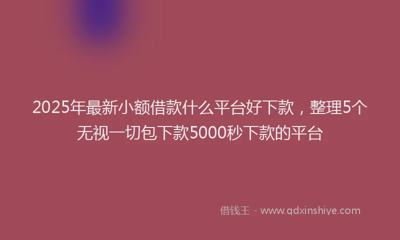 2025年最新小额借款什么平台好下款，整理5个无视一切包下款5000秒下款的平台