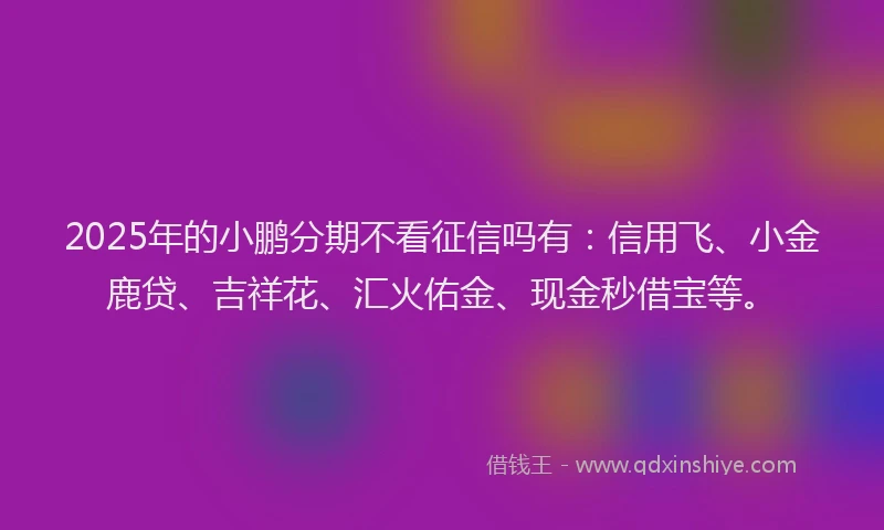 2025年的小鹏分期不看征信吗有：信用飞、小金鹿贷、吉祥花、汇火佑金、现金秒借宝等。
