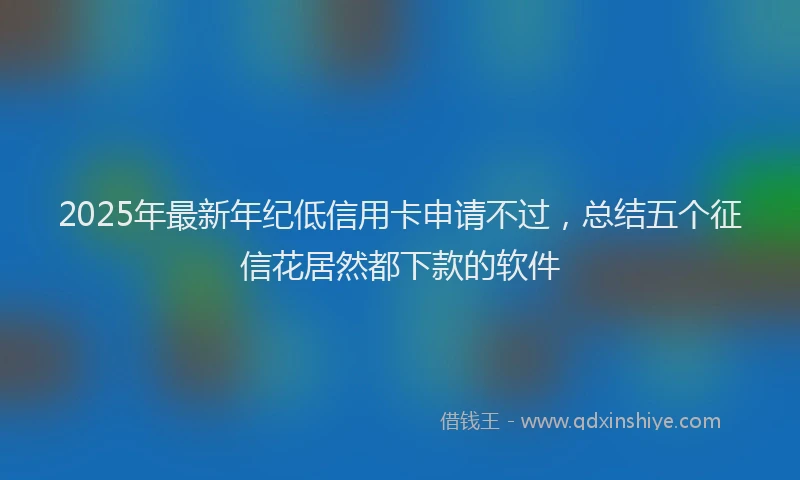 2025年最新年纪低信用卡申请不过，总结五个征信花居然都下款的软件