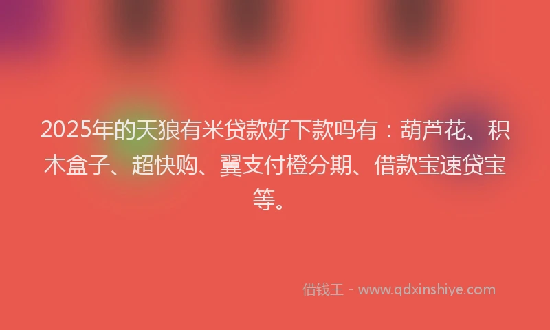 2025年的天狼有米贷款好下款吗有：葫芦花、积木盒子、超快购、翼支付橙分期、借款宝速贷宝等。