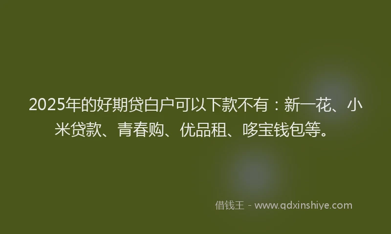 2025年的好期贷白户可以下款不有：新一花、小米贷款、青春购、优品租、哆宝钱包等。