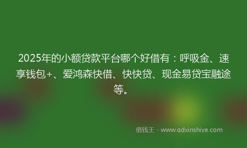 2025年的小额贷款平台哪个好借有：呼吸金、速享钱包+、爱鸿森快借、快快贷、现金易贷宝融途等。