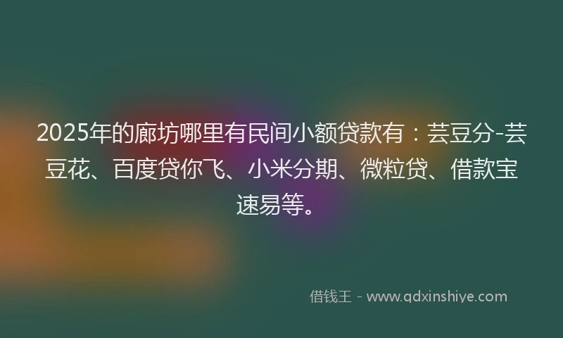 2025年的廊坊哪里有民间小额贷款有：芸豆分-芸豆花、百度贷你飞、小米分期、微粒贷、借款宝速易等。