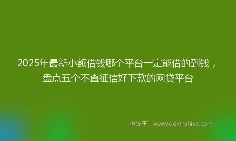 2025年最新小额借钱哪个平台一定能借的到钱，盘点五个不查征信好下款的网贷平台