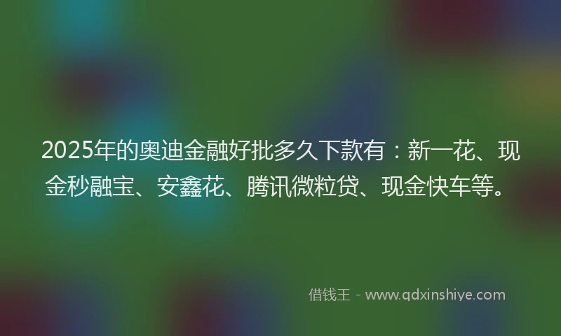 2025年的奥迪金融好批多久下款有：新一花、现金秒融宝、安鑫花、腾讯微粒贷、现金快车等。
