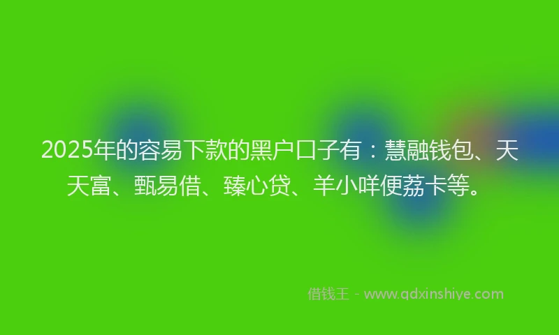2025年的容易下款的黑户口子有：慧融钱包、天天富、甄易借、臻心贷、羊小咩便荔卡等。
