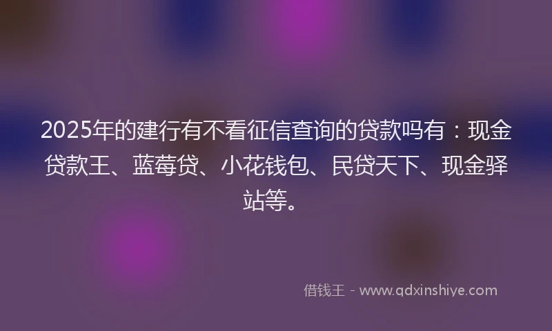 2025年的建行有不看征信查询的贷款吗有：现金贷款王、蓝莓贷、小花钱包、民贷天下、现金驿站等。