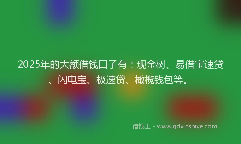 2025年的大额借钱口子有：现金树、易借宝速贷、闪电宝、极速贷、橄榄钱包等。