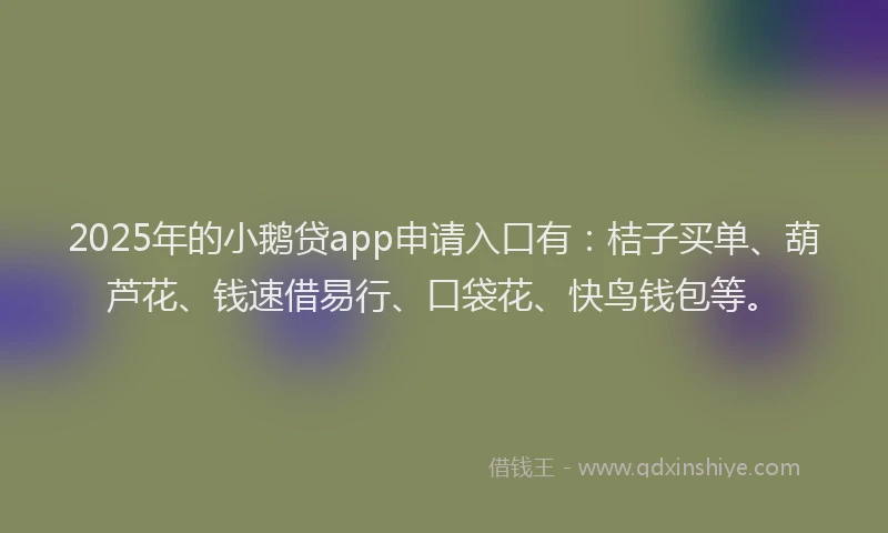 2025年的小鹅贷app申请入口有：桔子买单、葫芦花、钱速借易行、口袋花、快鸟钱包等。