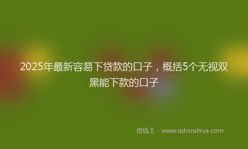 2025年最新容易下贷款的口子，概括5个无视双黑能下款的口子
