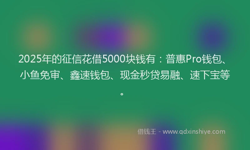 2025年的征信花借5000块钱有：普惠Pro钱包、小鱼免审、鑫速钱包、现金秒贷易融、速下宝等。