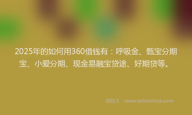 2025年的如何用360借钱有：呼吸金、甄宝分期宝、小爱分期、现金易融宝贷途、好期贷等。