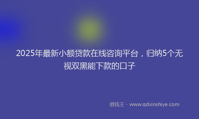2025年最新小额贷款在线咨询平台，归纳5个无视双黑能下款的口子