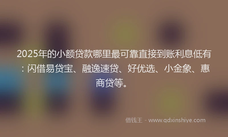 2025年的小额贷款哪里最可靠直接到账利息低有：闪借易贷宝、融逸速贷、好优选、小金象、惠商贷等。