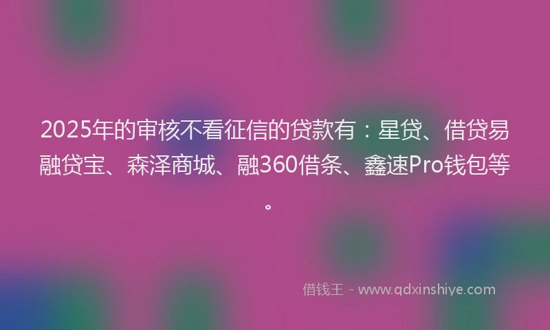 2025年的审核不看征信的贷款有：星贷、借贷易融贷宝、森泽商城、融360借条、鑫速Pro钱包等。