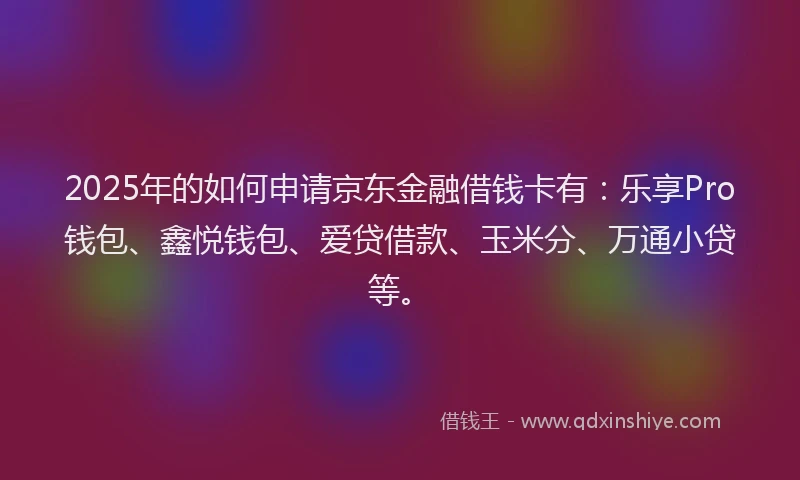 2025年的如何申请京东金融借钱卡有：乐享Pro钱包、鑫悦钱包、爱贷借款、玉米分、万通小贷等。