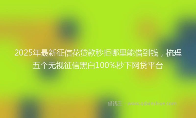 2025年最新征信花贷款秒拒哪里能借到钱，梳理五个无视征信黑白100%秒下网贷平台