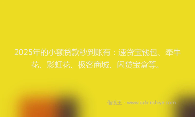 2025年的小额贷款秒到账有：速贷宝钱包、牵牛花、彩虹花、极客商城、闪贷宝盒等。