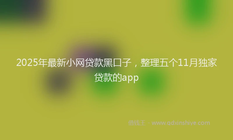 2025年最新小网贷款黑口子，整理五个11月独家贷款的app