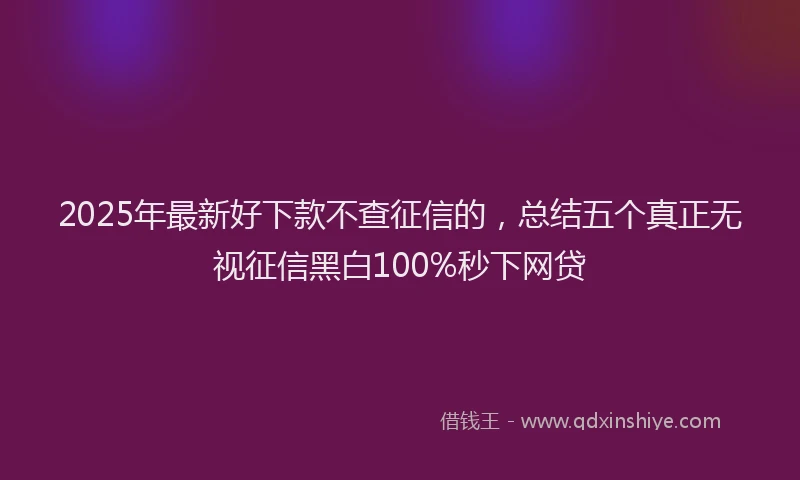 2025年最新好下款不查征信的，总结五个真正无视征信黑白100%秒下网贷