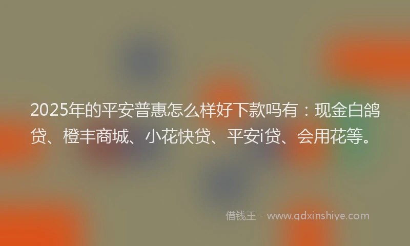 2025年的平安普惠怎么样好下款吗有：现金白鸽贷、橙丰商城、小花快贷、平安i贷、会用花等。