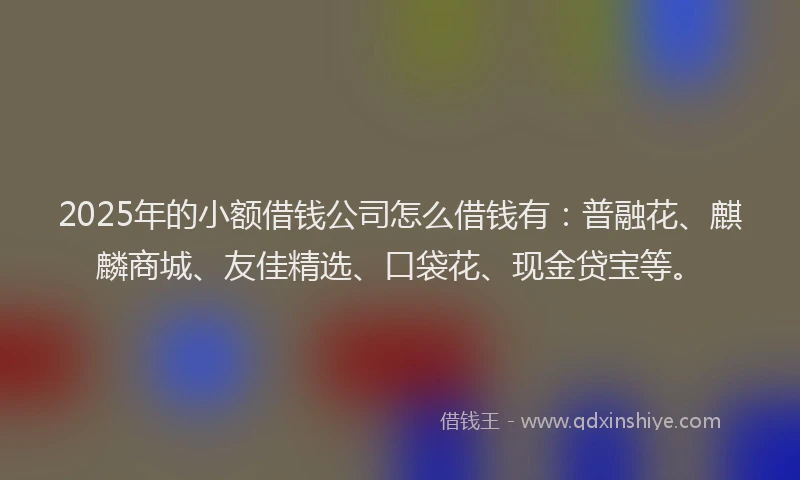 2025年的小额借钱公司怎么借钱有：普融花、麒麟商城、友佳精选、口袋花、现金贷宝等。