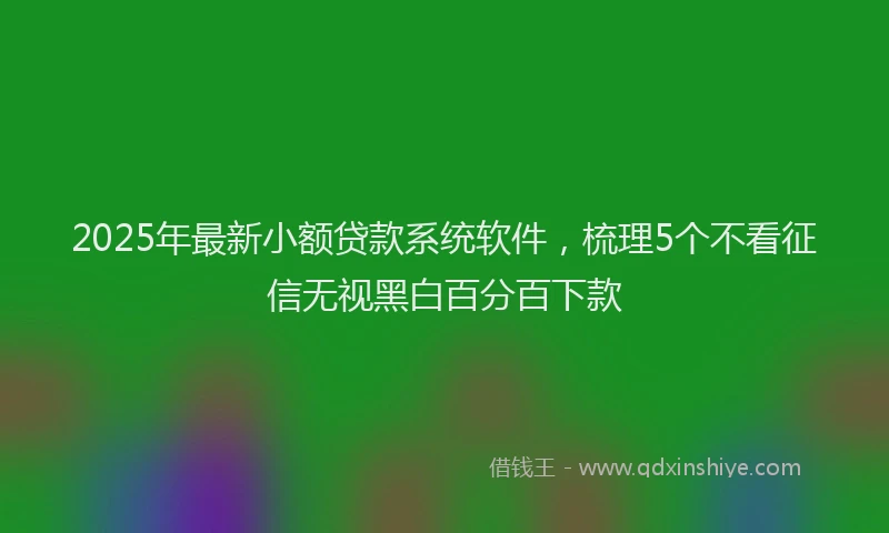 2025年最新小额贷款系统软件，梳理5个不看征信无视黑白百分百下款